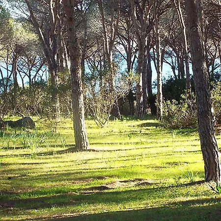 Hébergement de vacances 80m Dalla Trilo E Bilo Budoniaffitti *